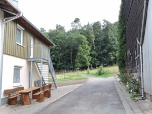 Landurlaub, Zeltnerhof, Waldrand Landurlaub auf dem Zeltnerhof direkt am Waldrand.