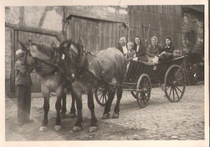 Urlaub Deutschland, Zeltnerhof, Kutschfahrt Urlaub Deutschland, Zeltnerhof, Kutschfahrt auf dem Heuwagen
