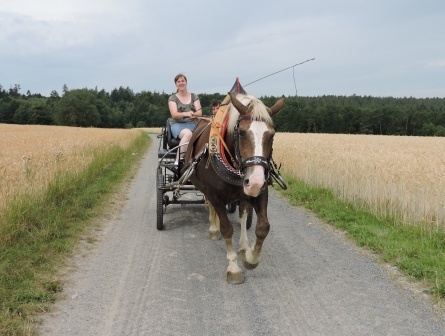 Mehr über den Artikel erfahren Heidi in Tracht – Kutsche fahren