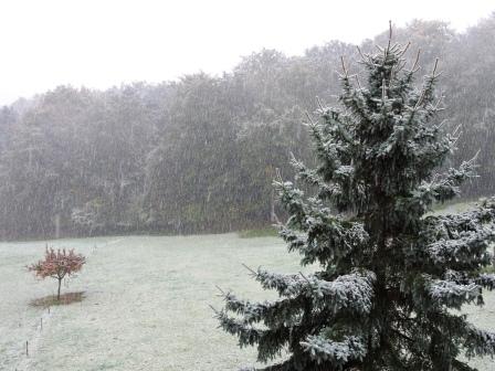 Mehr über den Artikel erfahren Erster Schnee auf dem Bauernhof