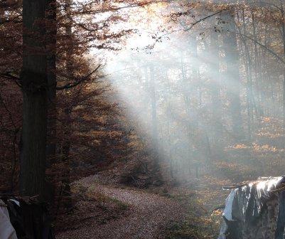 Mehr über den Artikel erfahren Tolle Herbstbilder