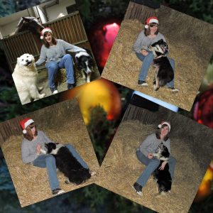 Mehr über den Artikel erfahren Weihnachtsgrüße vom Zeltnerhof