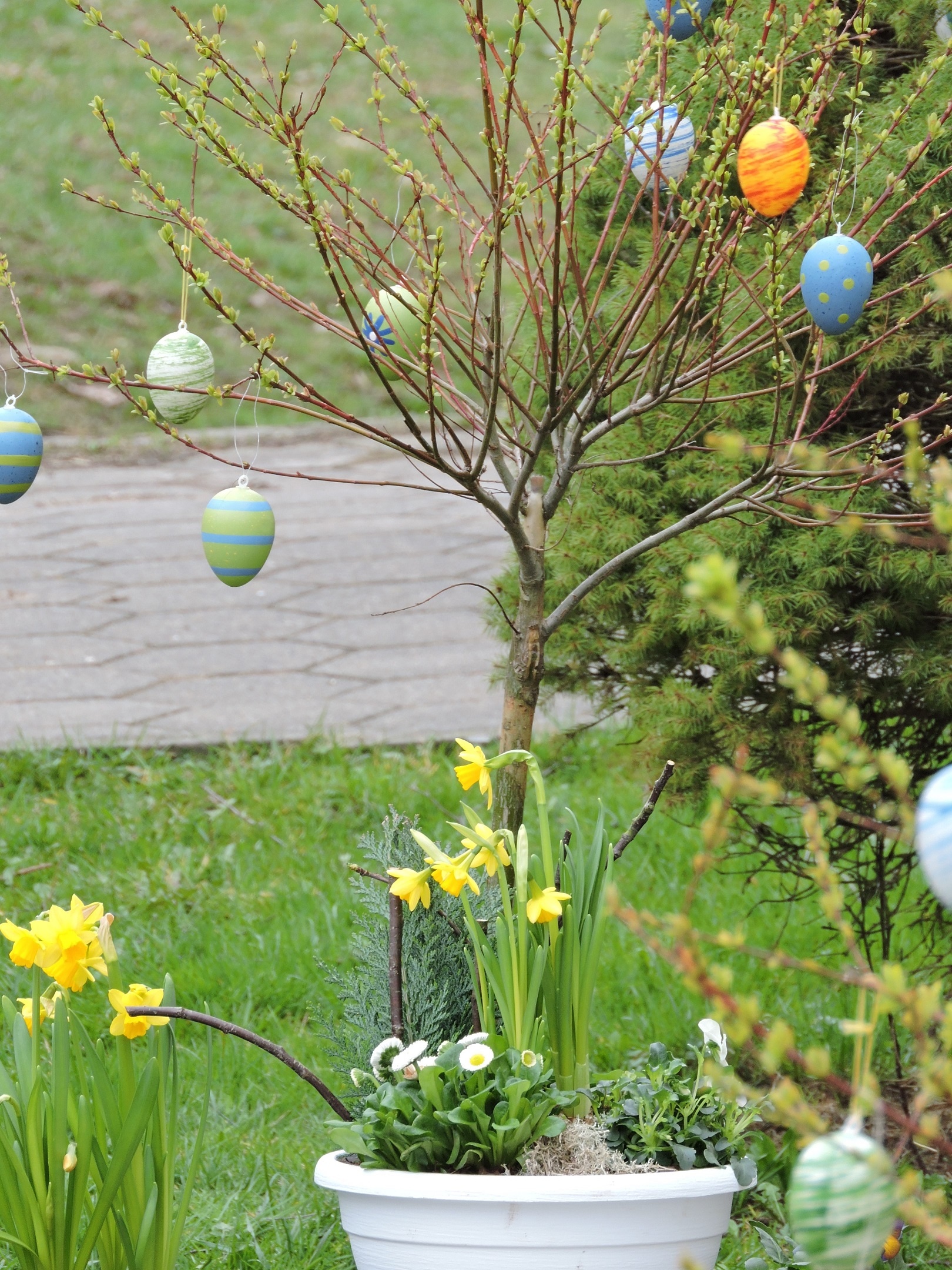 Mehr über den Artikel erfahren Ein bisschen Frühling für euch!