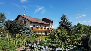 Mehr über den Artikel erfahren Gästebilder vom Urlaub auf dem Bauernhof