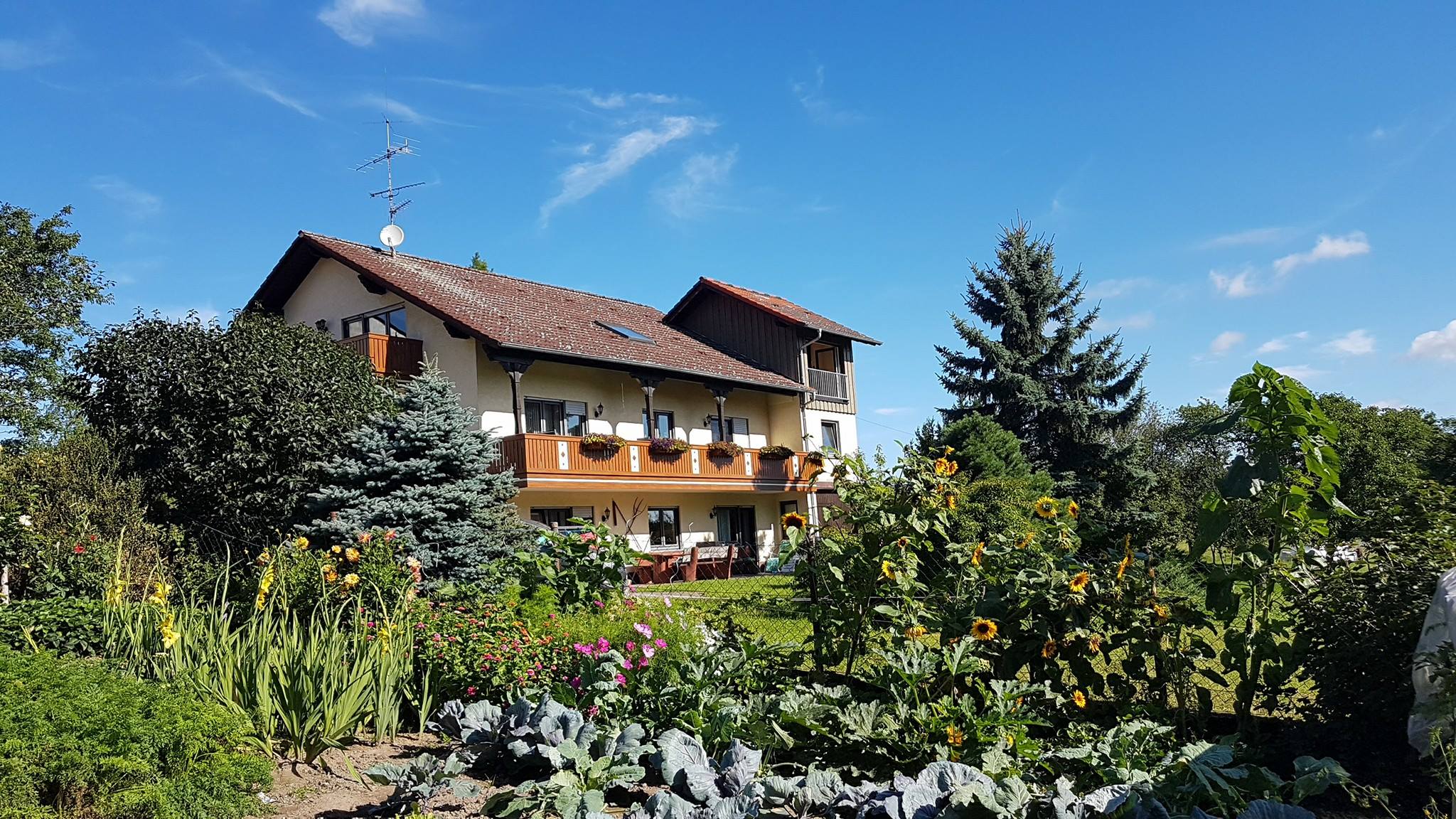 Mehr über den Artikel erfahren Gästebilder vom Urlaub auf dem Bauernhof