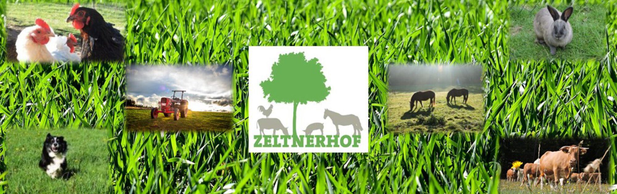 Urlaub-auf-dem-Bauernhof-Zeltnerhof-Banner-breit.jpg