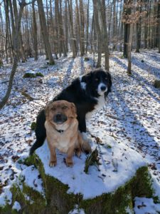 Shadow und Nala